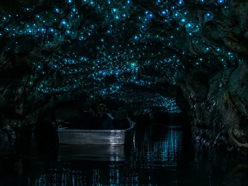 Te Anau Glowworm Caves Guided Tour